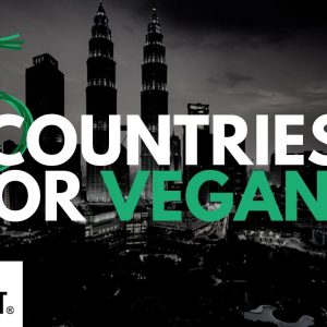 Five Best Tax-Friendly Countries for Vegans
