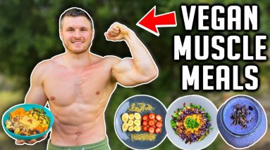 Full Day Of Vegan Eating For Muscle | NEW GYM & HIGH PROTEIN MEALS! 16 Full Day Of Vegan Eating For Muscle | NEW GYM & HIGH PROTEIN MEALS!